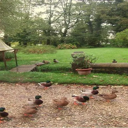 Le Moulin Fleuri Du Appeville Panzió Petit-Appeville