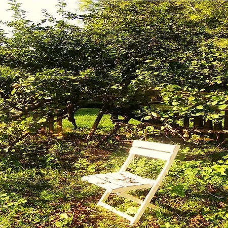 Le Moulin Fleuri Du Appeville Bed & Breakfast Petit-Appeville