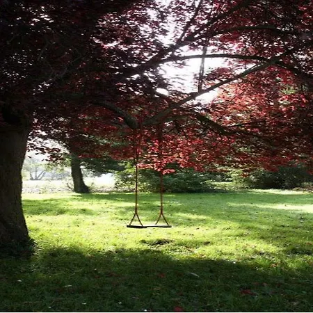 Panzió Le Moulin Fleuri Du Appeville 3*