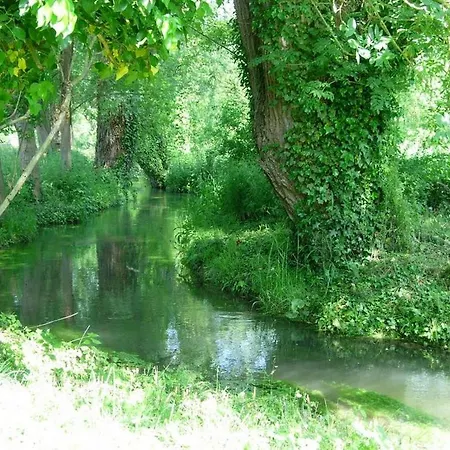 Le Moulin Fleuri Du Appeville Petit-Appeville