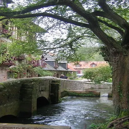 Bed & Breakfast Le Moulin Fleuri Du Appeville 3*